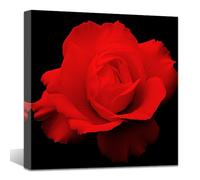 ZQQART Flower Canvas Wall Art Red Rose Close up Picture Printing Romantic Floral Photography Picture for Living Room Decor Frame(Rose -A,28.00" x 28.00")