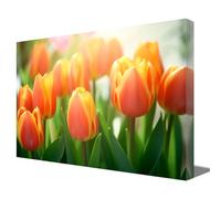 ZQQART Orange Tulip Flower Wall Art Elegant Floral Plants Picture Prints on Canvas Modern Bedroom Living Room Wall Artwork Decor (Orange Tulip,12.00" x 18.00")