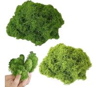 ZQuintuplian 100g Fake Moss, Moss Balls, Highly Attractive and Versatile In Shape Terrarium Moss, Fake Green Lichen Plants for Home, Garden, Crafts, Model Making (light green+dark green)