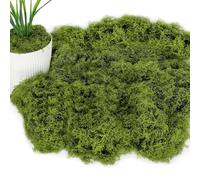 ZQuintuplian 100g Fake Moss, Moss Balls, Highly Attractive and Versatile In Shape Terrarium Moss, Fake Green Lichen Plants for Home, Garden, Crafts, Model Making