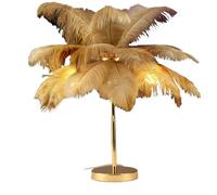 ZR98US Feather Lamp with Cord, Dimmable, Versatile for Different Spaces (Ostrich Color)