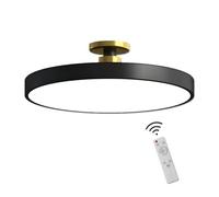 ZRBBRE Dimmable LED Ceiling Light with Remote Control,Minimalist Flush Mount Ceiling Lamp, Living Room Bedroom and Kitchen Ceiling Light Fixture (Black, 30CM 18W)