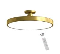 ZRBBRE Dimmable LED Ceiling Light with Remote Control,Minimalist Flush Mount Ceiling Lamp, Living Room Bedroom and Kitchen Ceiling Light Fixture (Gold, 50CM 36W)
