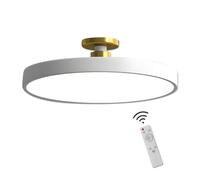 ZRBBRE Dimmable LED Ceiling Light with Remote Control,Minimalist Flush Mount Ceiling Lamp, Living Room Bedroom and Kitchen Ceiling Light Fixture (White, 30CM 18W)