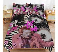 ZRCLXLVU Sid Vicious Se-x Pis-tols Light Feel Soft Touch Consistent Fabric Smooth Sleep Layer Duvet Cover Sets Comfort Kit