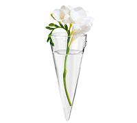 Zreneyfex Clear Circular Cone Glass Wall Hanging Vase Bottle for Plant Flower Decor