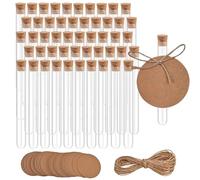 zrfgbxim 50 Pcs Clear Plastic Test Tubes with Corks, Reusable Transparent Plastic Sample Test Tubes Vases for Plants Flowers Beads Sweets Candy Lab DIY Craft, 13x78mm(6ml), with 5m Hemp Rope (13x78mm)