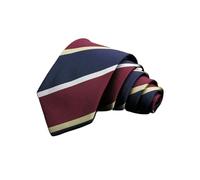 ZRHWSPD Black Tie Men's Tie Classic Stripe 7cm Jacquard Red Blue Green Necktie Daily Wear Cravat Wedding Party Dress Accessories Gift For Man(Multi-colored-8)