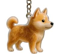 ZRTQWC Dog Hair Collector Keychain，Transparent Pet Charm Memorial Storage Box, Portable Pet Memory Capsule for Pet Owners Gift(J)