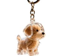ZRTQWC Dog Hair Collector Keychain，Transparent Pet Charm Memorial Storage Box, Portable Pet Memory Capsule for Pet Owners Gift(E)