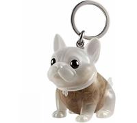 ZRTQWC Dog Hair Collector Keychain，Transparent Pet Charm Memorial Storage Box, Portable Pet Memory Capsule for Pet Owners Gift(H)