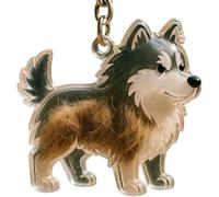 ZRTQWC Dog Hair Collector Keychain，Transparent Pet Charm Memorial Storage Box, Portable Pet Memory Capsule for Pet Owners Gift(G)