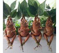 Zryachiy01 Enchanted Mandrake Hanging Sculpture, Adorable Garden Ornament with Flower Pot Support for Outdoor & Indoor Plant Displays(4PCS)