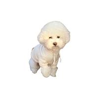 ZSHDTKWB Dog Clothes Dog Hoodies Pet Dog Coat Winter Dog Clothes New Warm Pet Clothing For Dog Puppy Sweatshirt Chihuahua-white-xxl