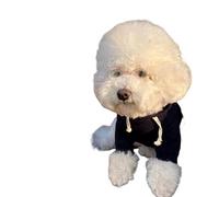ZSHDTKWB Dog Clothes Dog Hoodies Pet Dog Coat Winter Dog Clothes New Warm Pet Clothing For Dog Puppy Sweatshirt Chihuahua-blue_a-xxl