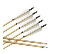 ZSHJG Handmade Archery Wooden Arrows Turkey Feathers Traditional Wooden Shaft Arrows Hunting Target Arrows With Arrow Point For Recurve Bow Longbow (Type 1, 12pcs)