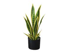 Zstar Sansevieria Artificial Plant, 50 cm Artificial Snake Plant in Pot, Tropical Indoor Plant, Large Artificial Plants Decoration for Home, Living Room, Bedroom, Office, Garden, Yellow