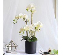ZTCHSENZT Artificial Flower In Pot Artificial Silk Moth Orchid Flowers Potting In Matte Ceramic Vase, Natural Looking Phalaenopsis Flowers And Greens Table Centerpieceentor : D Int,