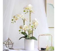 ZTCHSENZT Artificial Flower In Pot Artificial Silk Moth Orchid Flowers Potting In Matte Ceramic Vase, Natural Looking Phalaenopsis Flowers And Greens Table Centerpieceentor : B Int,