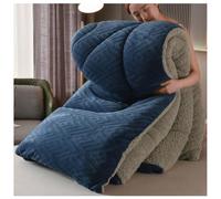 ZTGL Fluffy Queen Size Comforter, Warm Sherpa Winter Bedding, Plush Fuzzy Blanket Reversible, King Breathable Washable Quilts, Comforter Core All Season,A,150x200cm(3.0kg)