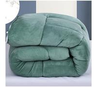 ZTGL King Size Heavy Warm Winter Sherpa Quilts - Super Soft Lambswool Comforter Core Bedding - Thickened Double Sided Fluffy Lamb Fleece Quilted Quilt Blanket,Green,220x240cm(5kg)