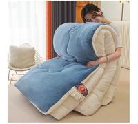 ZTGL Ultra Warm Faux Lamb Wool Quilt Winter Blanket, Premium Plush Lamb Fleece Comforter, Double-Sided Velvet Duvet, Thick Fluffy Bedding for Cold Weather,Blue,200x230cm(5kg)