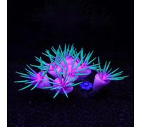 ZtohPyo Glowing Effect Fish Tank Aquarium Decorations, Artificial Silicone Plants Ornaments for Fish Tank Landscape Decor Glow in The Dark Soft Anemone for Small Aquarium Decoration (Green Anemone)