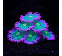 ZtohPyo Glowing Effect Soft Anemone Aquarium Fish Tank Decorations Silicone Glow in The Dark Artificial Ornament Plants for Aquarium Landscape Small/Large Fish Bowl Decor Accessories