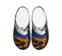 ZTPOWQA Rocky Mountain Range Print Practical Anti Pilling Washable Slippers Women Men TPR Sole Indoor Outdoor shoes