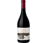 Zuccardi Finca Piedra Infinita 2019