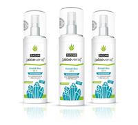 ZUCCARI Aloe Vera X2 Anti ODORANTE to The Liquid Stone 100 ML 3PZ