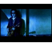 Zucchero - Blue