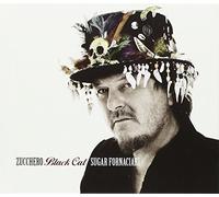 Zucchero Sugar Fornaciari - Black Cat