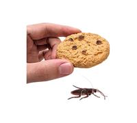Zugar Land Cookie Surprise Prank Toy (1 Piece) Soft Plastic Cockroach Prank Toy Great for Gags All Ages