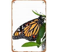 Zuhhgii Monarch Butterfly Funny Tin Metal Sign Child Metal Poster Soul Art Wall Plaque Decor Outdoor Indoor Wall Panel Retro Vintage Mural 8x12 Inch