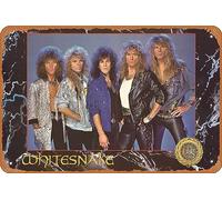Zuhhgii Music Metal Posters Whitesnake Band Portrait 1989 Tin Metal Sign 8" X 12"