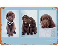 Zuhhgii Retro Metal Sign Rachael Hale Chocolate Treat Vintage Tin Sign,Comic Style,Funny Signs,Film Movie Cinema Theater,Man Cave,Garage,Musical Pub,Brewery,Cafe,Wall Decor,Art 12x8 Inch