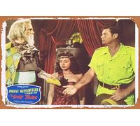Zuhhgii Retro Tin Sign THE LOST TRIBE 1949 Lobby Card 2 Jungle Jim Johnny Weissmuller Retro of Classic Old Film Poster Metal Sign TV Bar Man Cave Wall Decor 8x12 Inches.