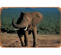 Zuhhgii South Africa Addo Elephant NP Angry Bull Elephant Funny Tin Metal Sign Child Metal Poster Soul Art Wall Plaque Decor Outdoor Indoor Wall Panel Retro Vintage Mural 8x12 Inch