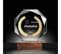 ZUHK Custom Crystal Trophy with Solid Wood Base - Personalized (Engraving/Logo/Photo/Custom Plaque), Customizable | For Employee Recognition, Coworker/Boss Retirement, Anniversary, Sports (A12)