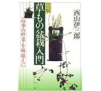 Zukai kusamono bonsai nyuÌ„mon