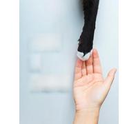 ZUKIY Hang in There Cat Poster - Funny Motivational Wall Art Print 8x10 Unframed - Inspirational Kitten Poster for Office Bedroom or Gift - Cute Cat for Teens and Animal Lovers