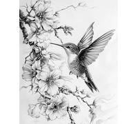 ZUKIY Humming Bird Sketch Art - 8x10 Vintage Bird Wall Art Print - Unframed Gold Frame Style Artwork for Bedroom or Hallway - Classic Nature Illustration for Home or Office Decor