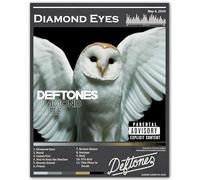 ZUKIY Wall Art Diamond Eyes Deftones Owl Art - Dark Rock Poster 20 x 25 No Frame - Heavy Metal Band Inspired Decoration for Bedroom, Studio, Office - Style Print