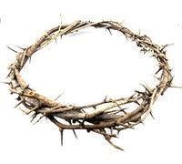 CROWN OF THORNS BETHLEHEM JERUSALEM HOLY LAND aprox 7.5" diameter Zuluf Store HLG027