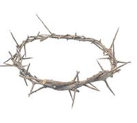 Zuluf Jerusalem Authentic Biblical Lifesize Real Crown of Thorns with Box & Certificate | Religious Easter Wreath Home Décor Tree Topper | Jesus Christ Wall Decor Christmas Christian Gifts| HLG214