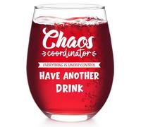 Zunaked Funny Wine Glasses for Women - Everything is Under Control 19 oz Stemless Wine Glass - Birthday Gag Office Gifts for Women, Coworker, Friend, Boss, Teacher, Doctor