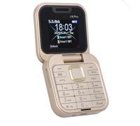 Zunate 2G Mini Flip Mobile Phone, Foldable Cell Phone 2 SIM Card Slots, 1.77 Small Display, Unlocked Flip Phone Supports FM Radio, Quick Dial, Vibration (Gold)