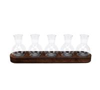 Zunate Plant Propagation Station | Flat Bottom Glass Bulb Planter Vase with Wooden Tray | Desktop Water Propagation Vessel for Hydroponics Houseplant Cuttings, for Home Office Shelf (5 Bottles)