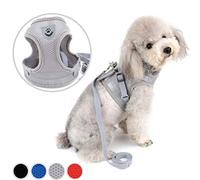 Zunea Dog Harness for Small Dog Cat, No Pull Step-in Soft Mesh Padded Vest Harness Leash Set with Reflective Stripe and Logo, Puppy Dog Lead for Daily Walking Running Training - (Gray, XL)